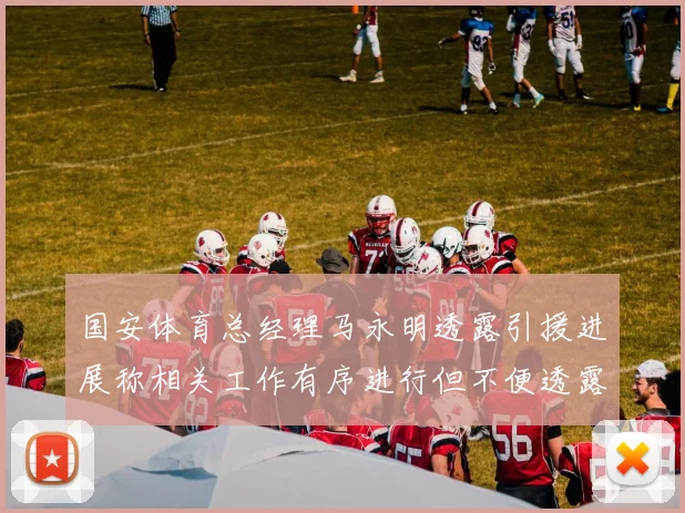 国安体育总经理马永明透露引援进展称相关工作有序进行但不便透露名字