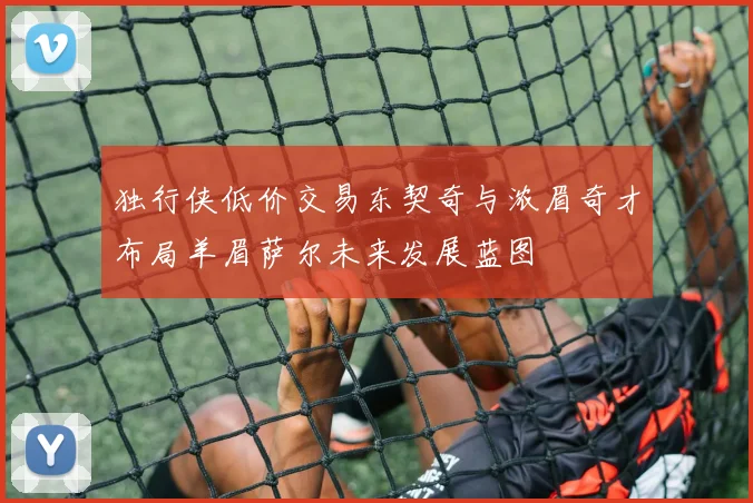 独行侠低价交易东契奇与浓眉奇才布局羊眉萨尔未来发展蓝图