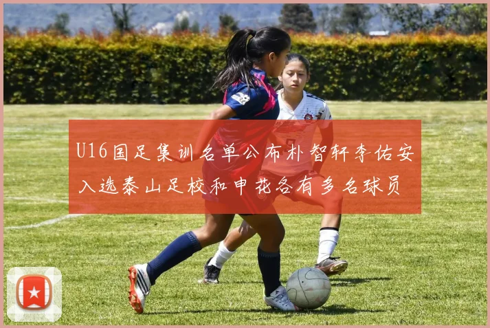 U16国足集训名单公布朴智轩李佑安入选泰山足校和申花各有多名球员参与