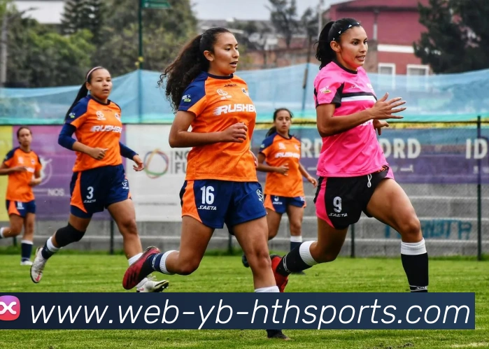 华体会体育发展历程